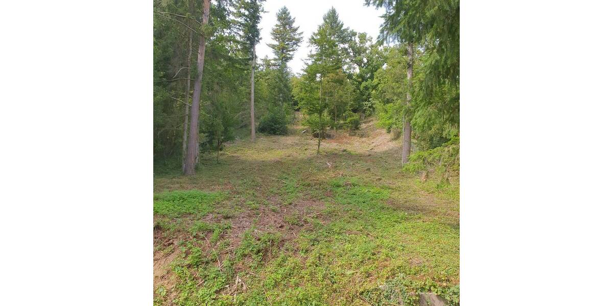 Grundstück Kieselbronn - 48.000&euro; | Angebot:23035089