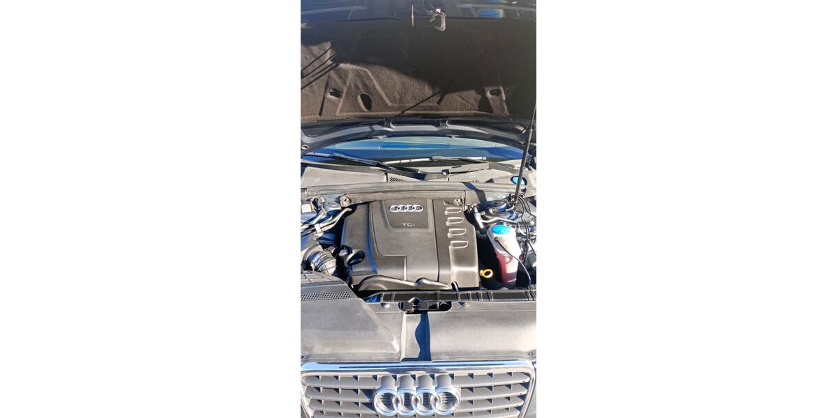 Audi A4 492.000 km 5.000 &euro; Lenzkirch 79853