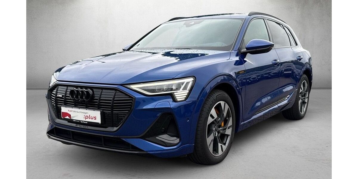 Audi e-tron 62.224 km 41.480 &euro; Mainz 55131