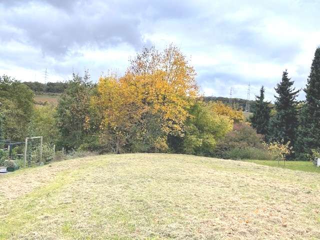 Grundstück zu verkaufen in Eppstein 399.500 € 555 m² zimmer