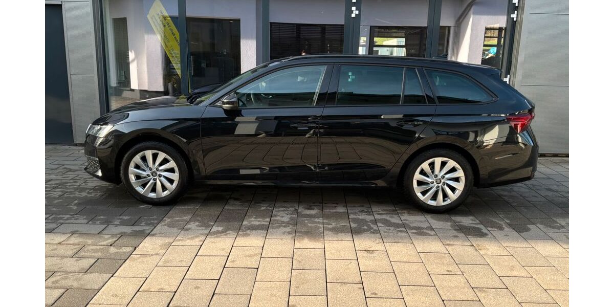 Skoda Octavia 24.166 km 31.950 &euro; Schmallenberg-Niederberndorf 57392