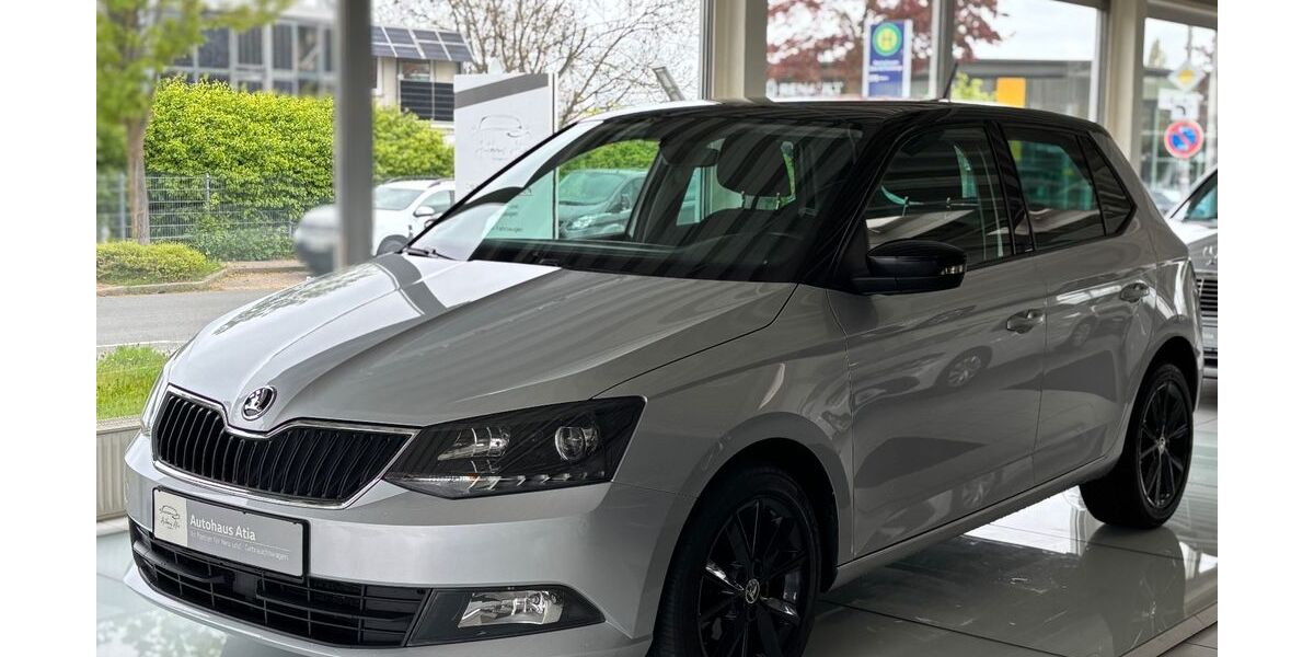 Skoda Fabia 123.200 km 9.600 &euro; Barsinghausen 30890