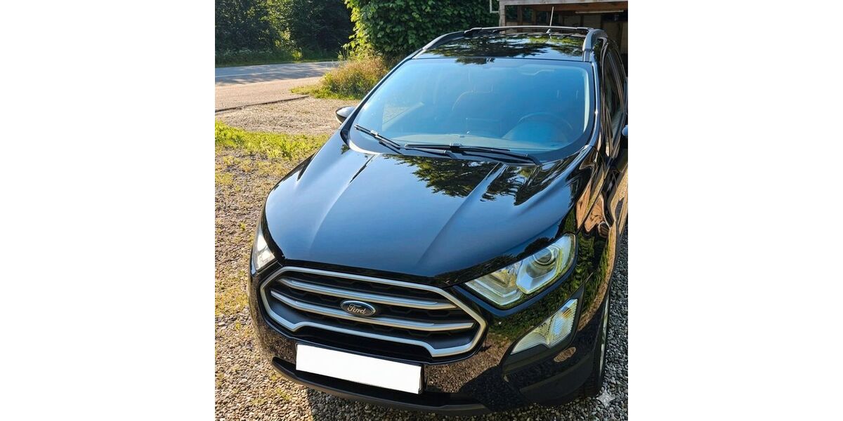 Ford EcoSport 106.000 km 8.500 &euro; Neuberend 24879
