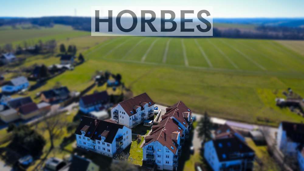 Wohnung zum Kaufen in Glauchau Reinholdshain 26.000 € 35 m² 1.5 zimmer