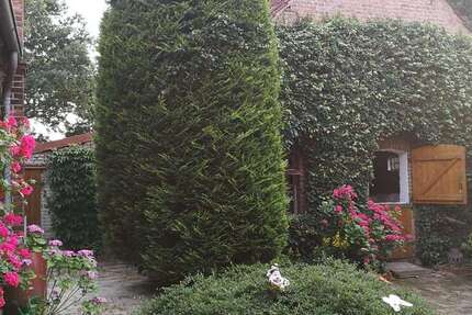 Haus Wagenfeld - 6 Zimmer, 162 m&sup2;, 259.000&euro; | Angebot:26023096