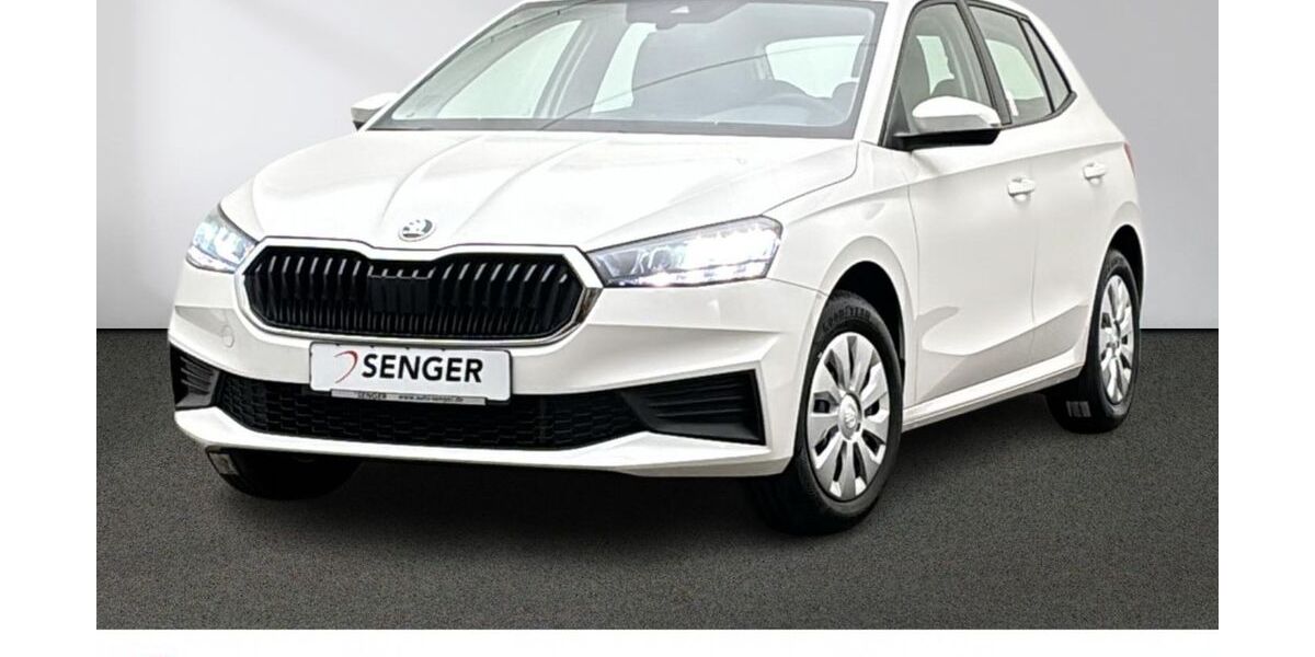 Skoda Fabia 44.940 km 18.880 &euro; Emsdetten 48282