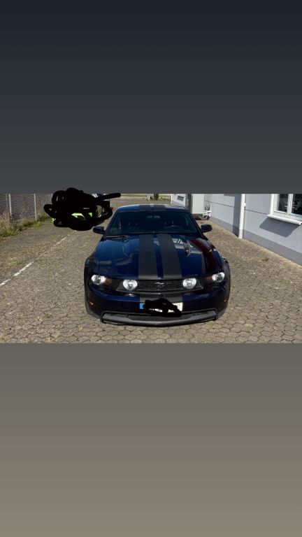Mustang