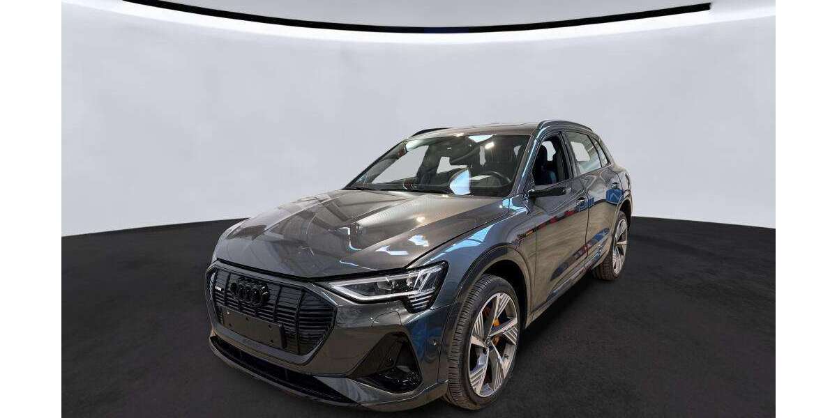 Audi e-tron 42.382 km 38.285 &euro; Hagen 58091