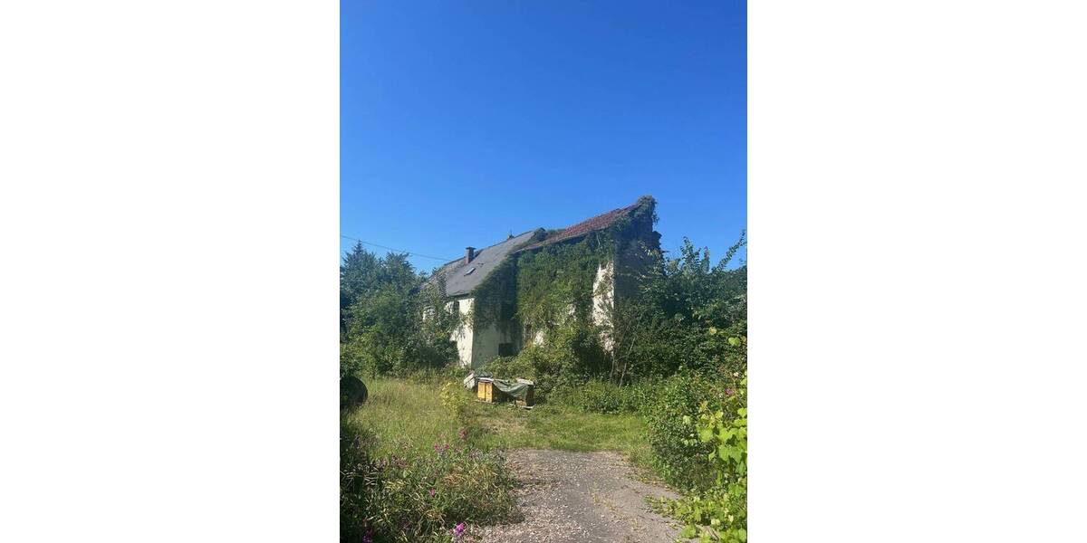 Grundstück Wadern Büschfeld - 130.000&euro; | Angebot:26243730