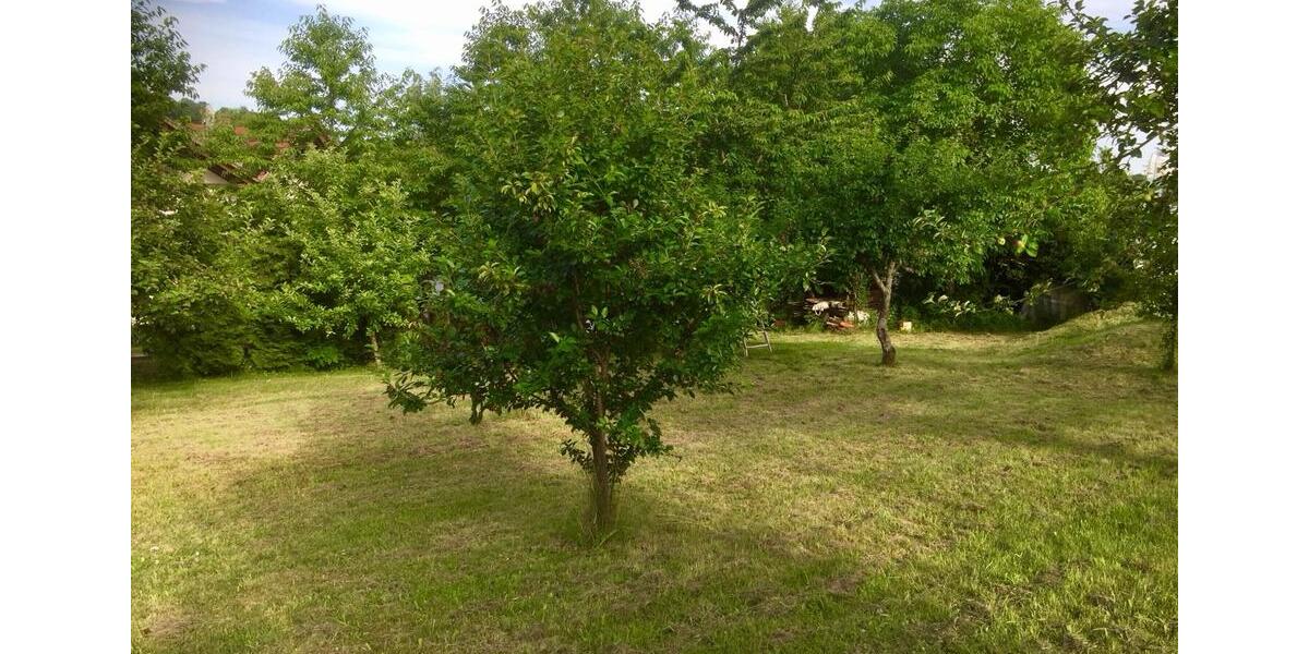 Hochparterre Burkardroth - 3.5 Zimmer, 70 m&sup2;, 495&euro; | Angebot:26021063