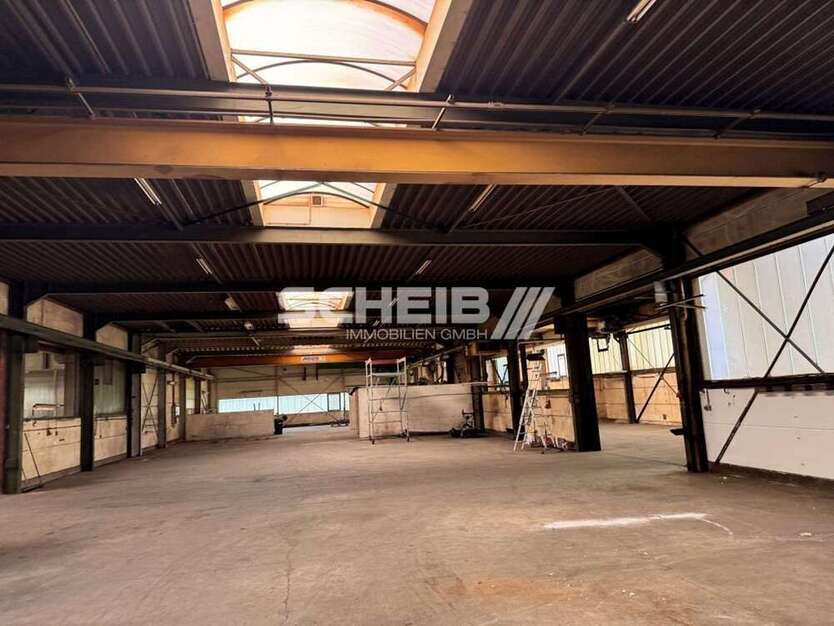 Halle in Hardthausen am Kocher 2.554,25 € 601 m²