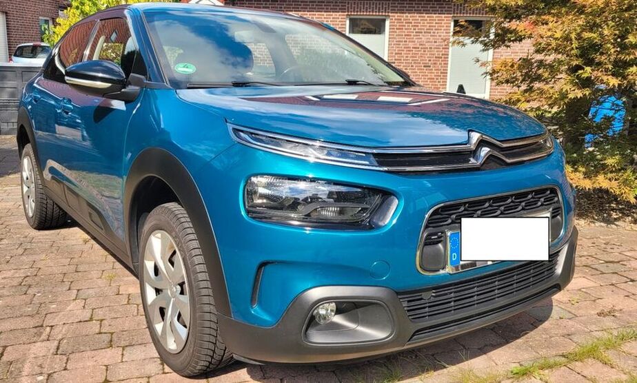C4 Cactus