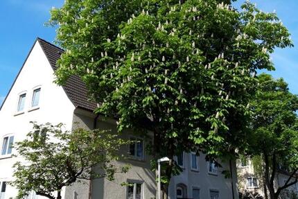 Alleinerziehend? Wir haben für Sie das ideale Zuhause. 3.5 zimmer