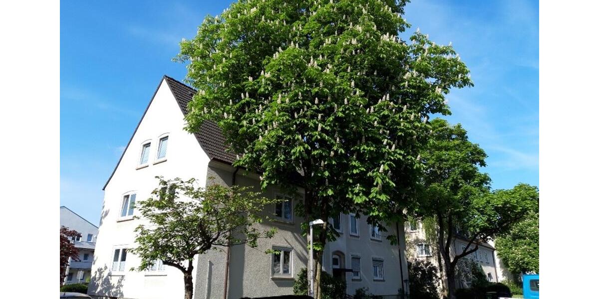 Alleinerziehend? Wir haben für Sie das ideale Zuhause. 3.5 zimmer