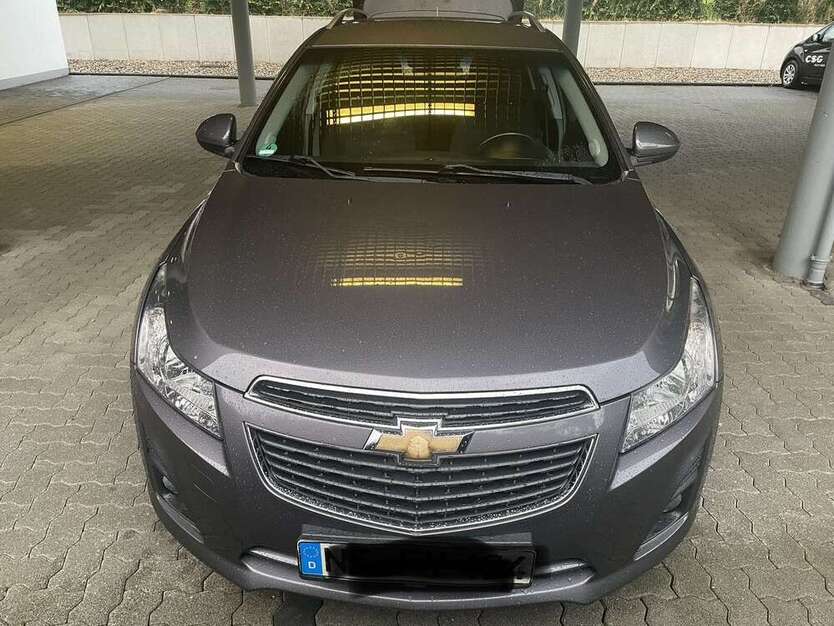 Cruze
