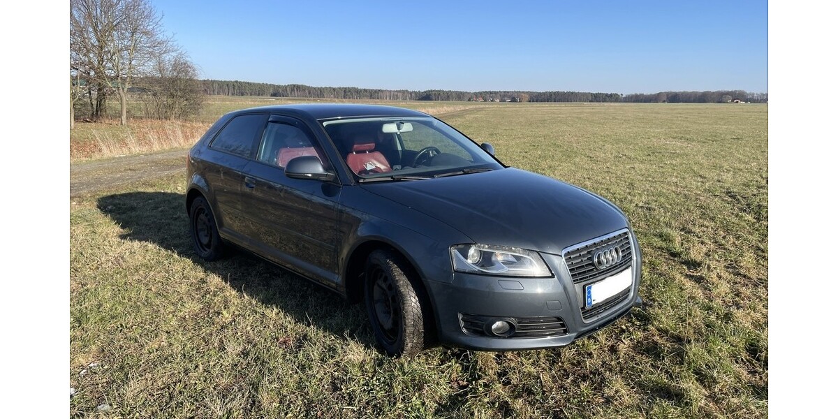 Audi A3 223.500 km 3.999 &euro; Oßling 01920