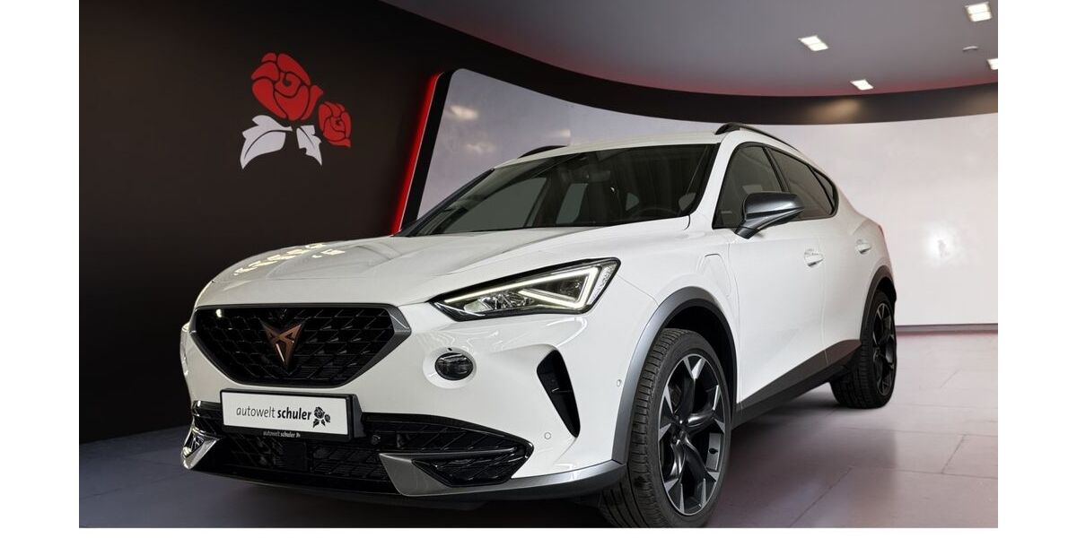 Cupra Formentor 69.100 km 26.980 &euro; Zimmern ob Rottweil 78658