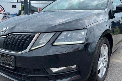 Skoda Octavia 349.200 km 7.500 € Beelitz 14547