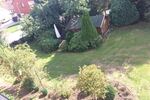 4 auf einen Streich ... 2 Wohnhäuser, 1 Gewerbeimmobilie und 1 Baugrundstück ... - Mehrfamilienhaus, Wohnhaus Uchte | Angebot:26096576