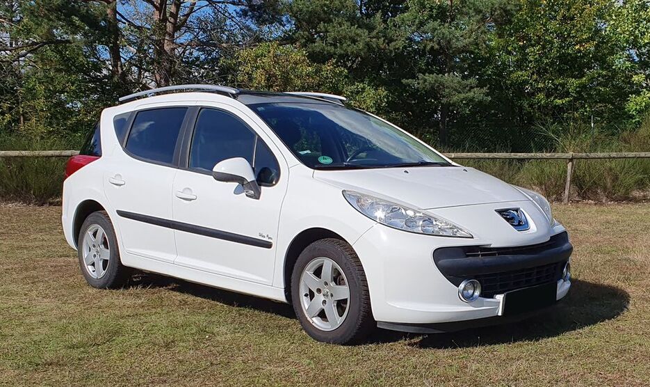 Peugeot 207 157.500 km 2.350 € Kahl 63796