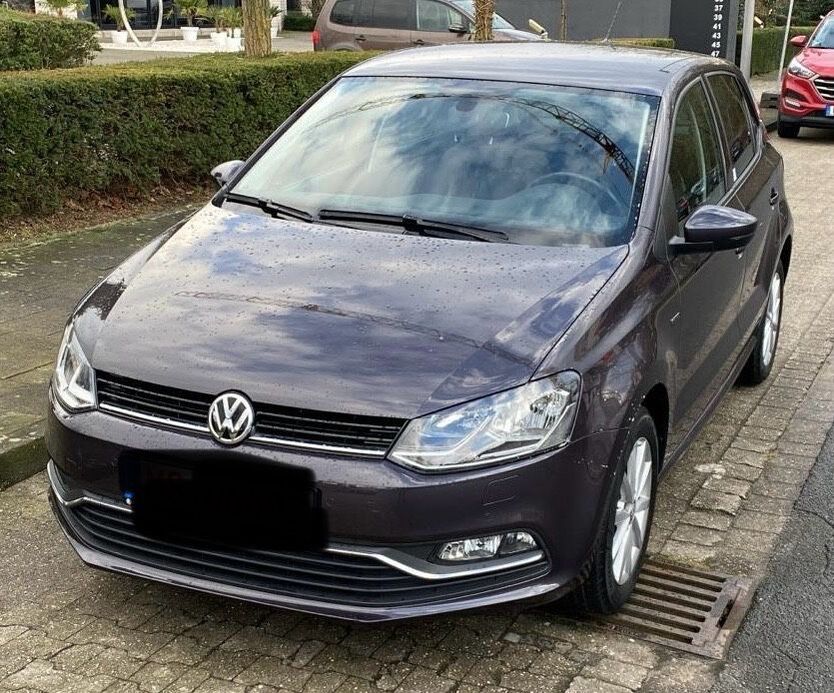 Polo