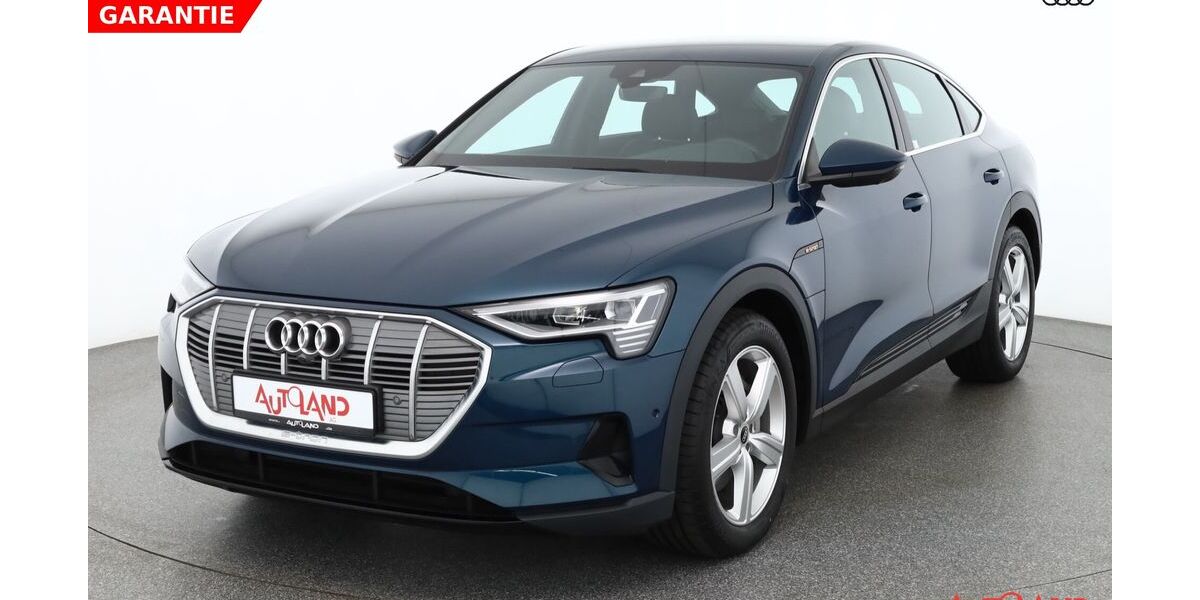 Audi e-tron 34.940 km 32.990 &euro; Eisleben 06295