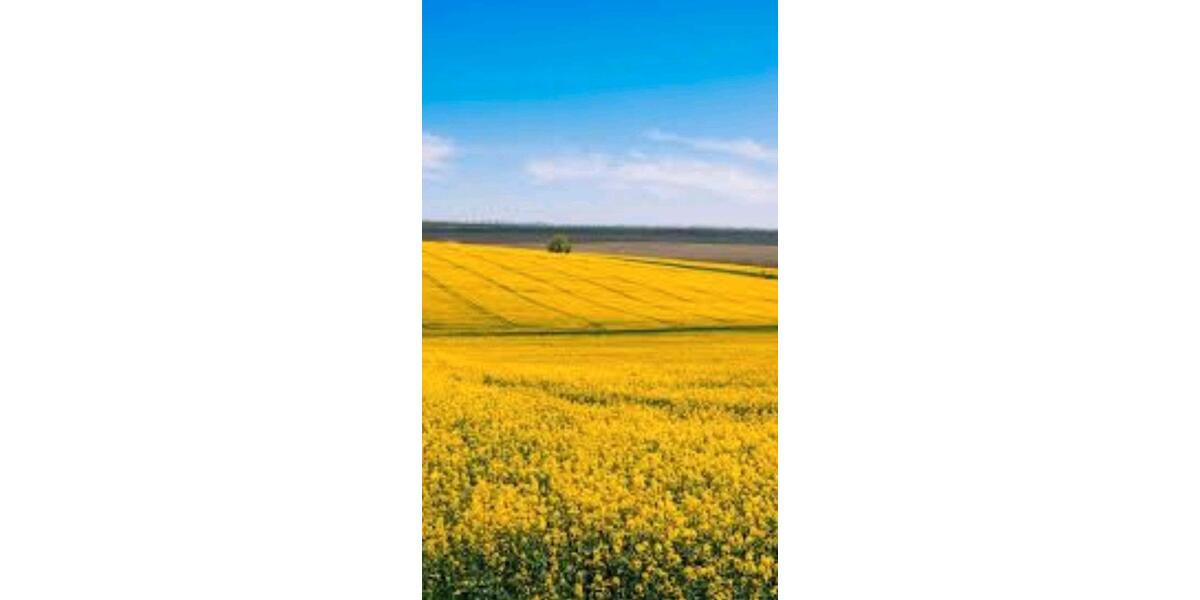 Etagenwohnung Klütz - 2 Zimmer, 50 m&sup2;, 550&euro; | Angebot:26312366