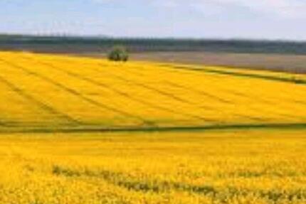 Wohnung Klütz - 2 Zimmer, 50 m&sup2;, 550&euro; | Angebot:26312366