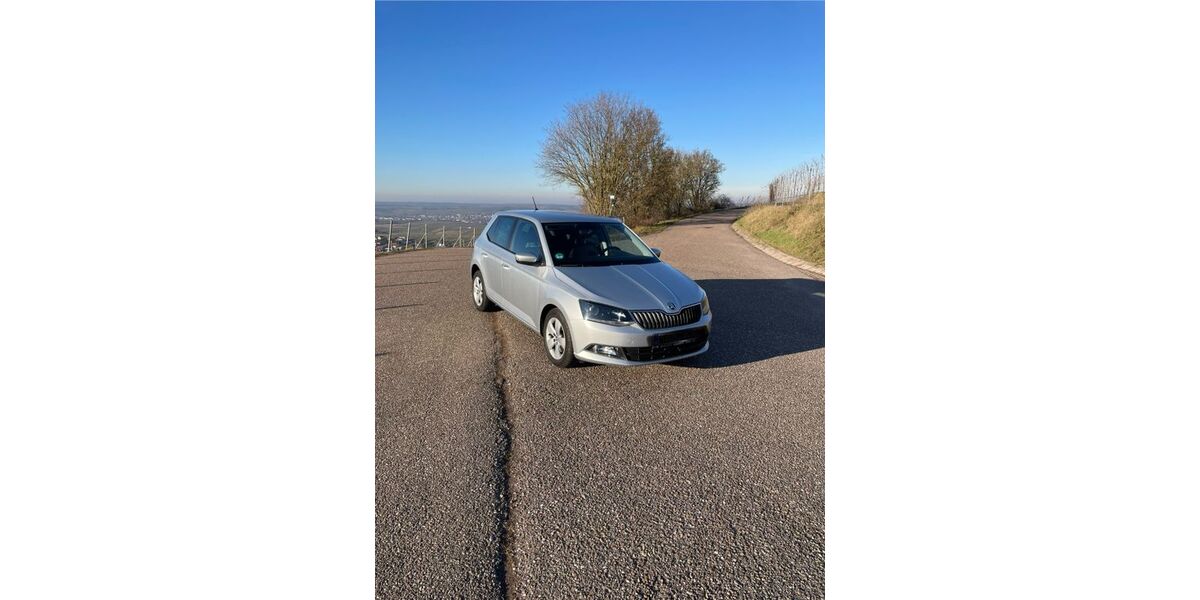 Skoda Fabia 124.000 km 8.499 &euro; Cleebronn 74389