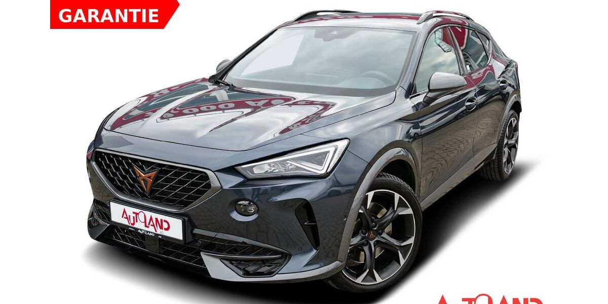 Cupra Formentor 68.996 km 28.490 &euro; Greifswald 17489