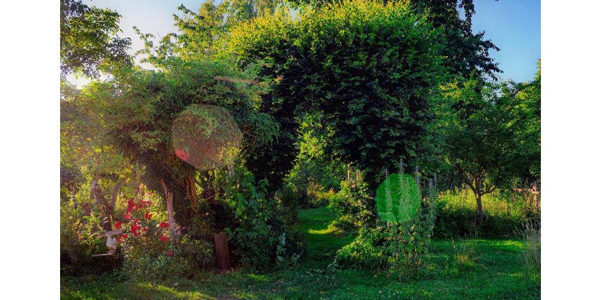 Sehr gepflegter Hof in ruhiger Lage mit 1,4 ha Land - ausbaufähig zimmer