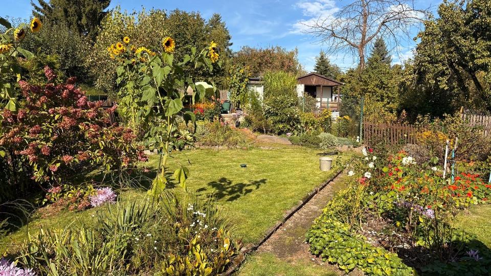 Grundstück Pirna - 2.000&euro; | Angebot:24576406