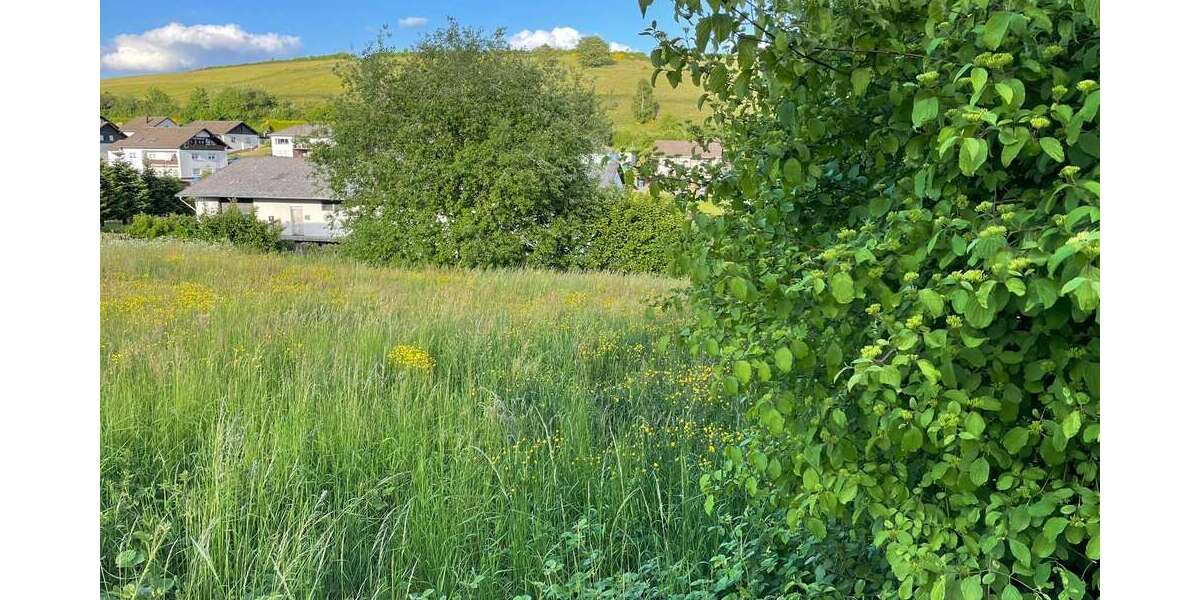 Grundstück zu verkaufen in Burbach 50.000 € 1100 m² - Grundstück Burbach | Angebot:25477371