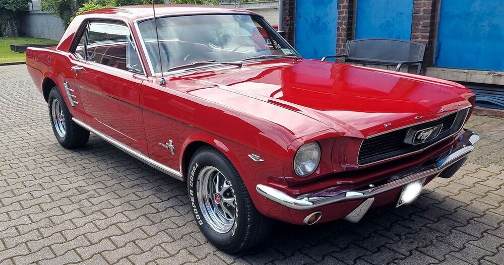 Mustang