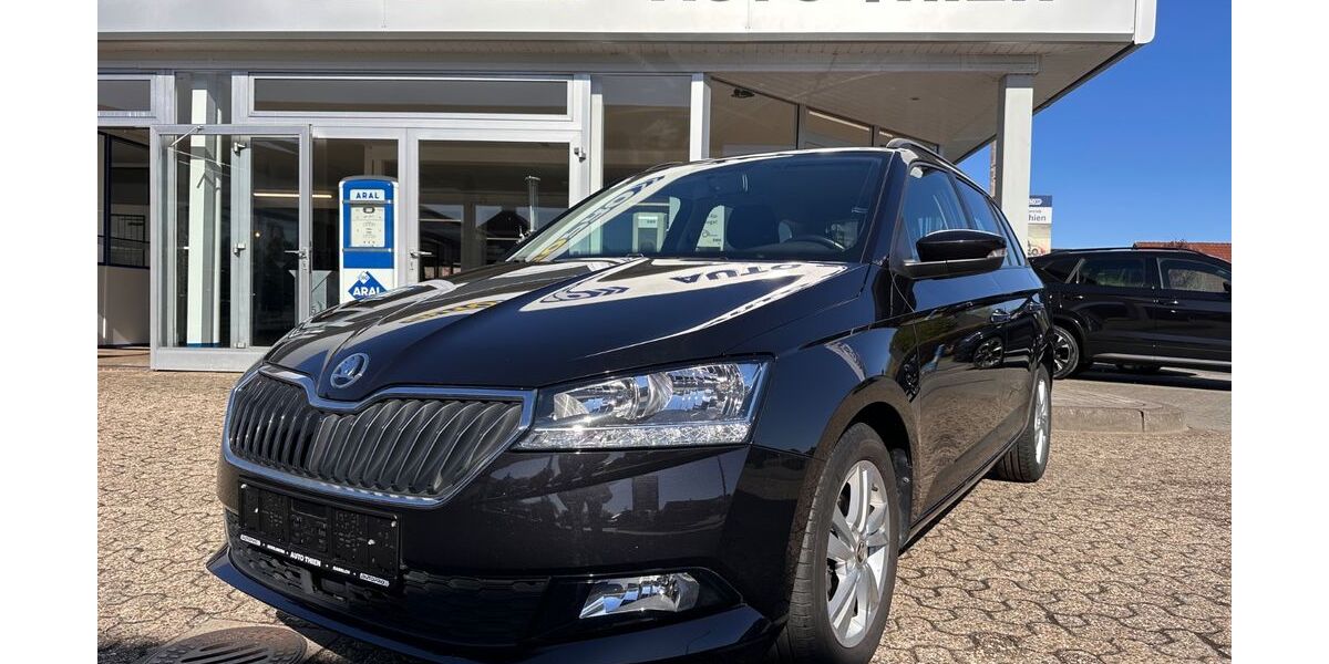 Skoda Fabia 89.965 km 11.990 &euro; Saterland-Sedelsberg 26683