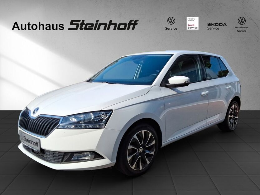 Skoda Fabia 43.933 km 13.390 € Attendorn 57439