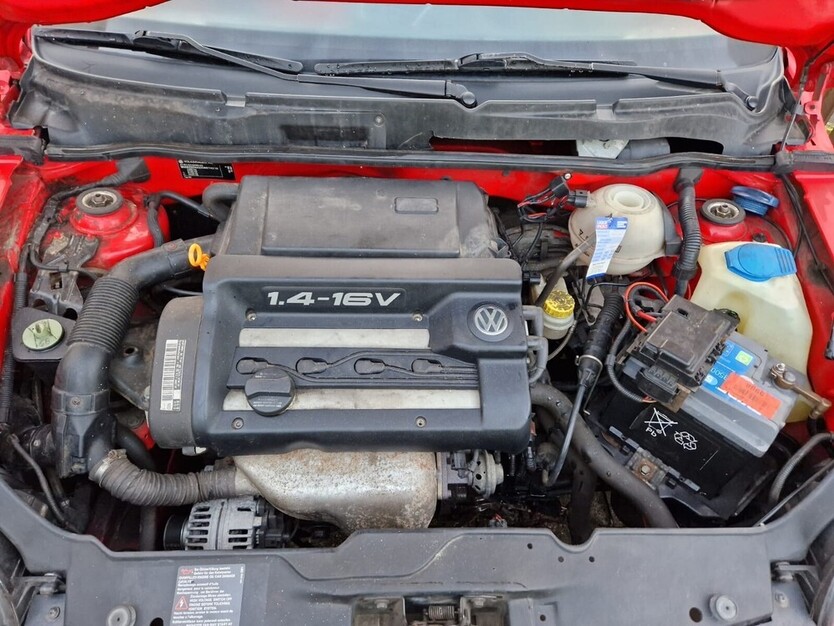 Lupo