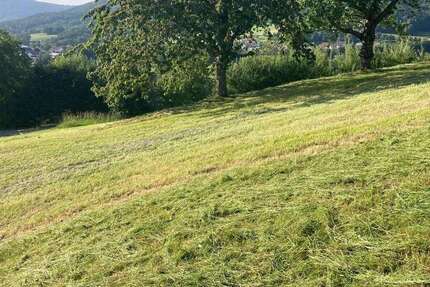 Grundstück Hunding - 275.000&euro; | Angebot:23220185