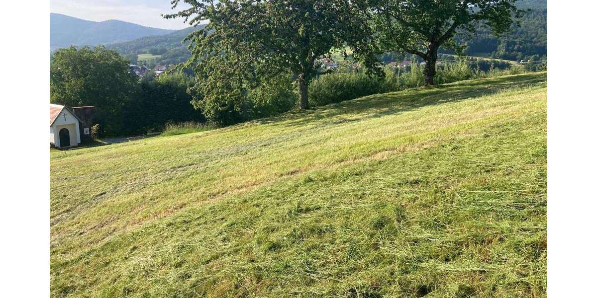 Grundstück Hunding - 275.000&euro; | Angebot:23220185