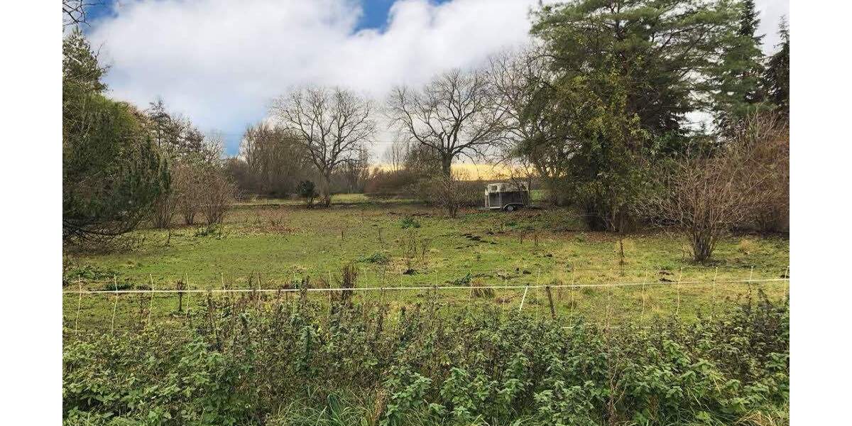 Grundstück Könnern-Hohenedlau Hohenedlau - 49.000&euro; | Angebot:25708639