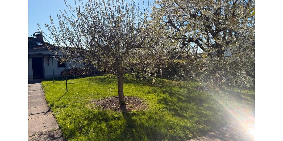Einfamilienhaus Schwarzenbach an der Saale Fletschenreuth - 4 Zimmer, 101 m&sup2;, 160.000&euro; | Angebot:26316214