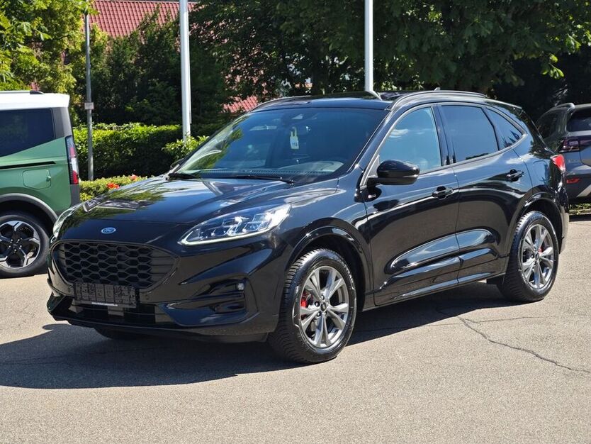 Kuga