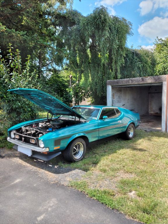 Mustang