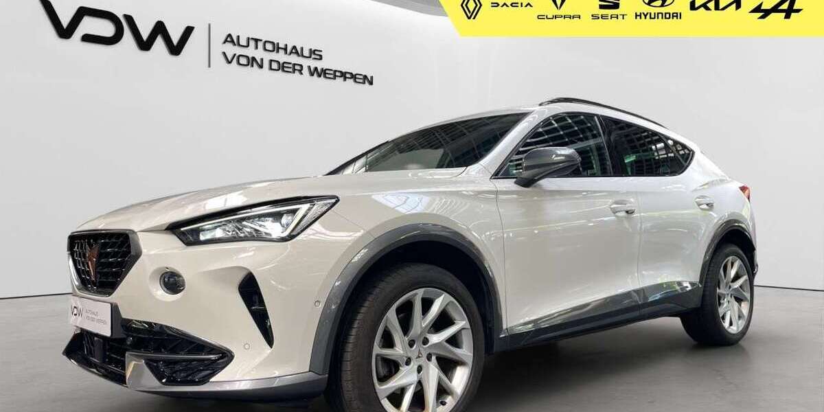 Cupra Formentor 45.800 km 24.980 &euro; Heilbronn 74076