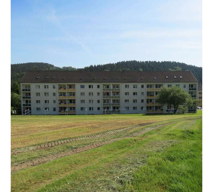 Wohnung zum Mieten in Auerbach 158 € 35 m²