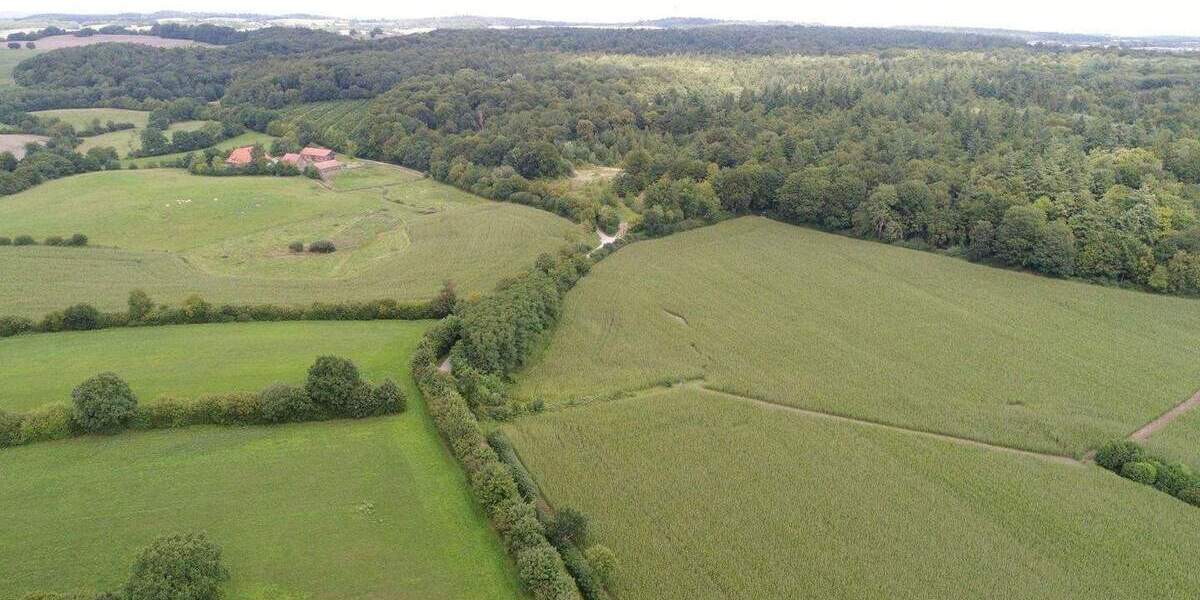 Grundstück Kasseedorf - 100.000&euro; | Angebot:25666082