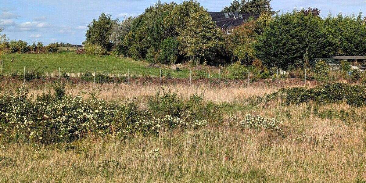 Grundstück Schwerin-Wickendorf Wickendorf - 134.500&euro; | Angebot:25725698