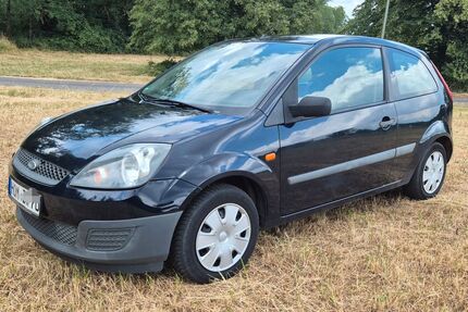 Ford Fiesta 220.600 km 980 &euro; Mandelbachtal 66399