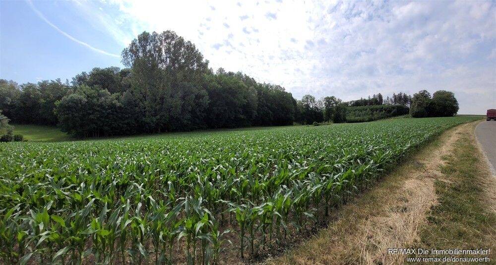 Grundstück Holzheim Eppisburg - 485.000&euro; | Angebot:25668362