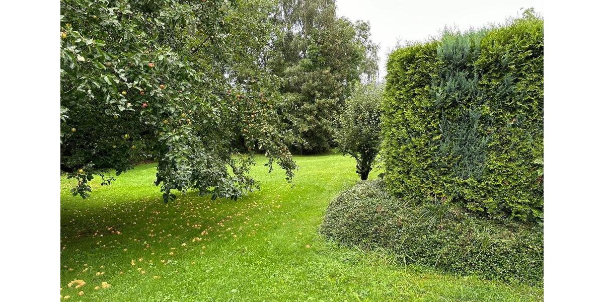 Etagenwohnung Stadlern - 1 Zimmer, 32 m&sup2;, 300&euro; | Angebot:25866758
